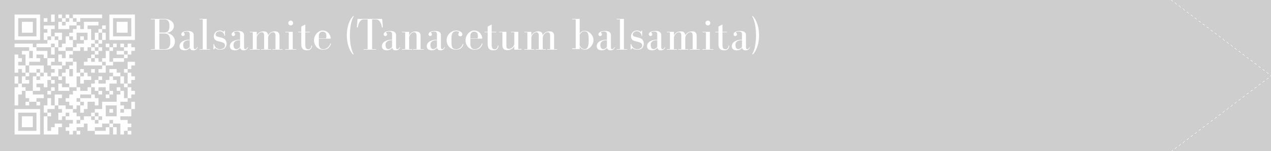 Étiquette de : Tanacetum balsamita - format c - style blanche17_simple_simplebod avec qrcode et comestibilité