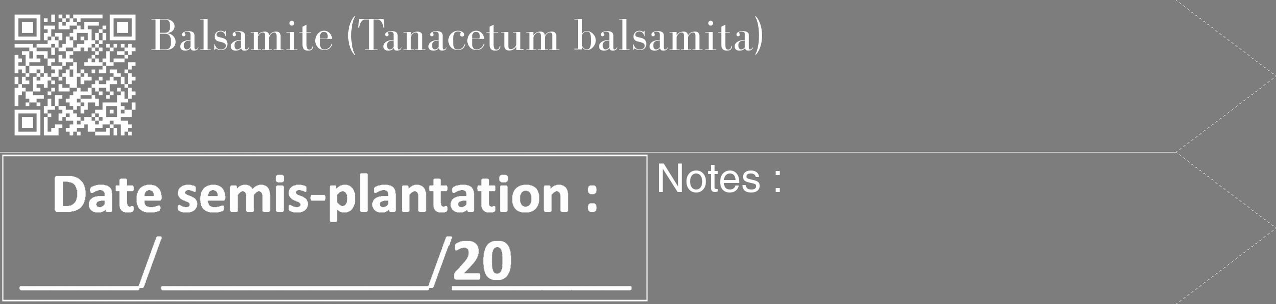 Étiquette de : Tanacetum balsamita - format c - style blanche35_simple_simplebod avec qrcode et comestibilité