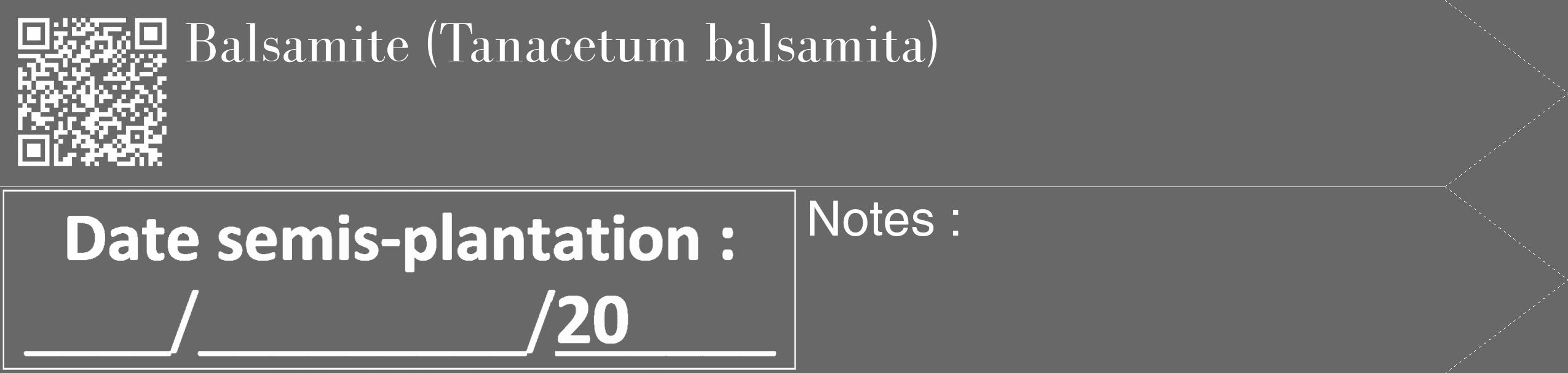 Étiquette de : Tanacetum balsamita - format c - style blanche6_simple_simplebod avec qrcode et comestibilité