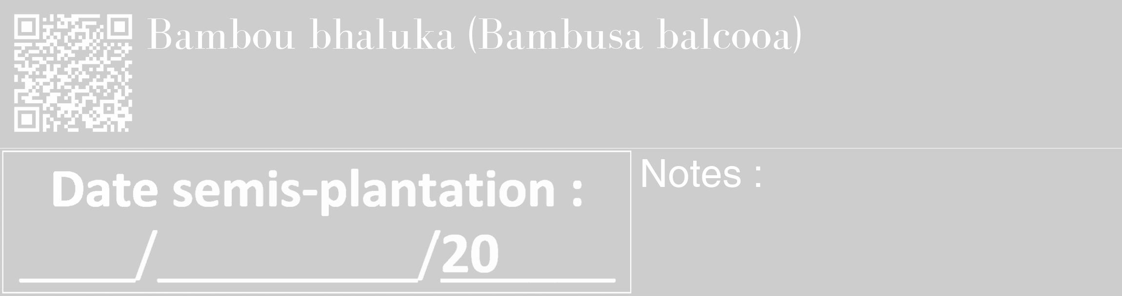 Étiquette de : Bambusa balcooa - format c - style blanche41_basique_basiquebod avec qrcode et comestibilité