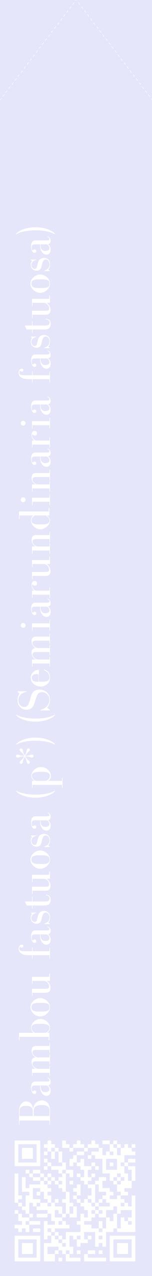 Étiquette de : Semiarundinaria fastuosa - format c - style blanche55_simplebod avec qrcode et comestibilité