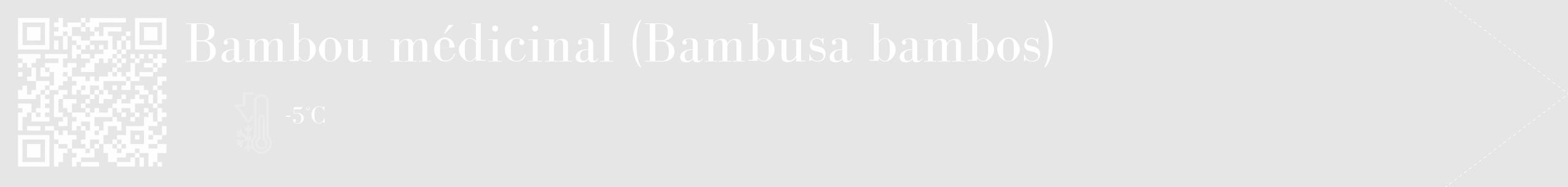 Étiquette de : Bambusa bambos - format c - style blanche18_simple_simplebod avec qrcode et comestibilité