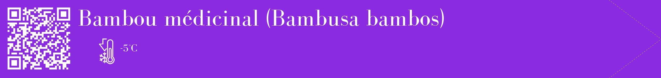Étiquette de : Bambusa bambos - format c - style blanche49_simple_simplebod avec qrcode et comestibilité