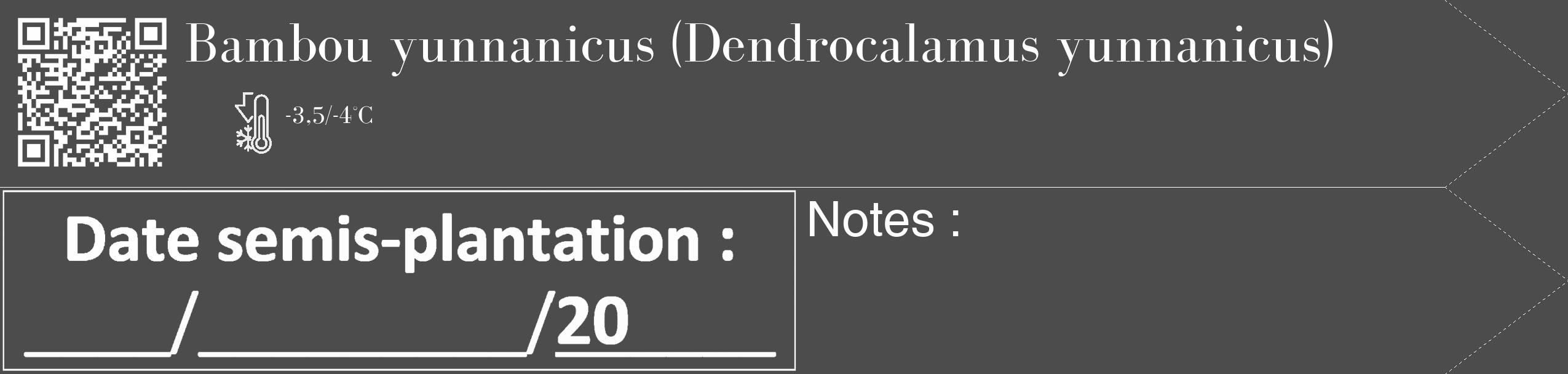 Étiquette de : Dendrocalamus yunnanicus - format c - style blanche27_simple_simplebod avec qrcode et comestibilité