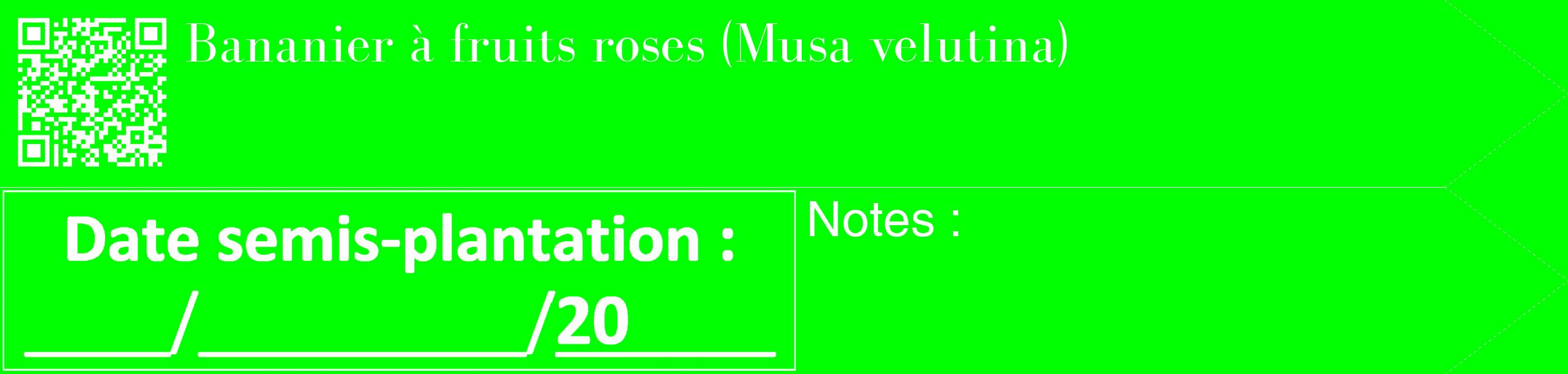 Étiquette de : Musa velutina - format c - style blanche16_simple_simplebod avec qrcode et comestibilité