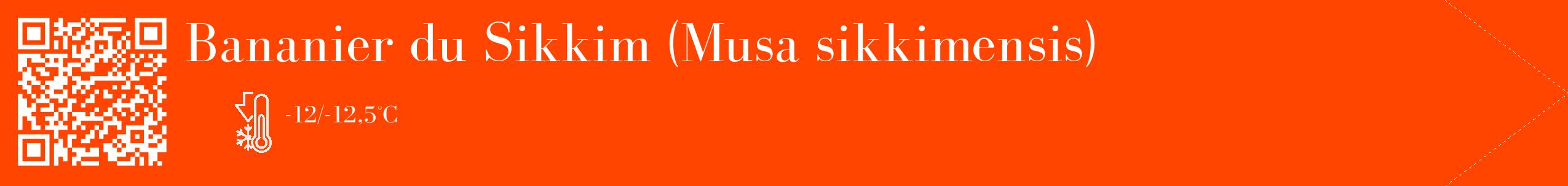 Étiquette de : Musa sikkimensis - format c - style blanche26_simple_simplebod avec qrcode et comestibilité