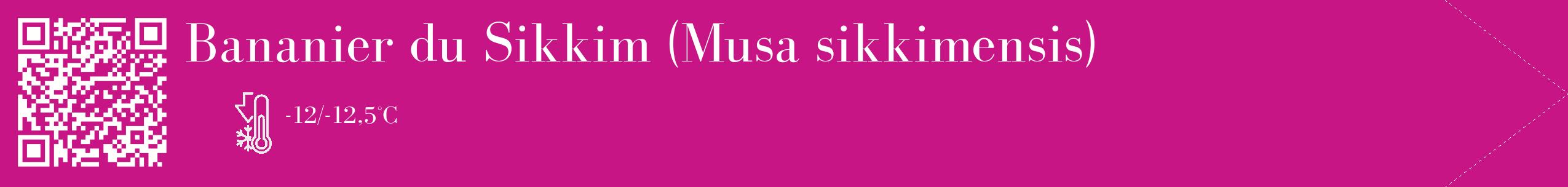 Étiquette de : Musa sikkimensis - format c - style blanche45_simple_simplebod avec qrcode et comestibilité