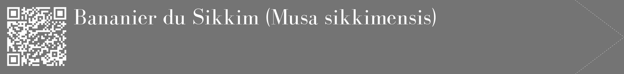 Étiquette de : Musa sikkimensis - format c - style blanche26_simple_simplebod avec qrcode et comestibilité