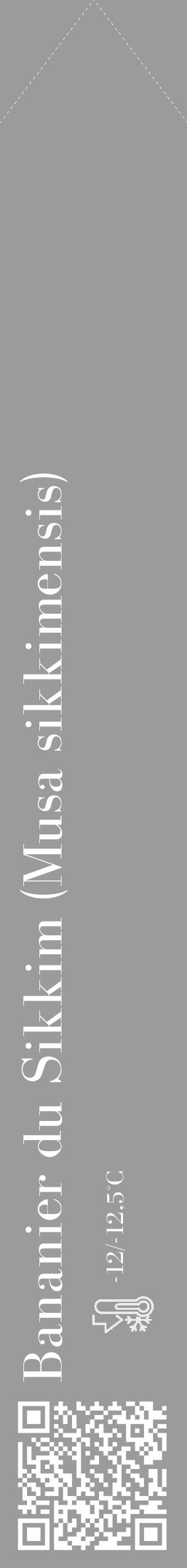 Étiquette de : Musa sikkimensis - format c - style blanche52_simple_simplebod avec qrcode et comestibilité - position verticale