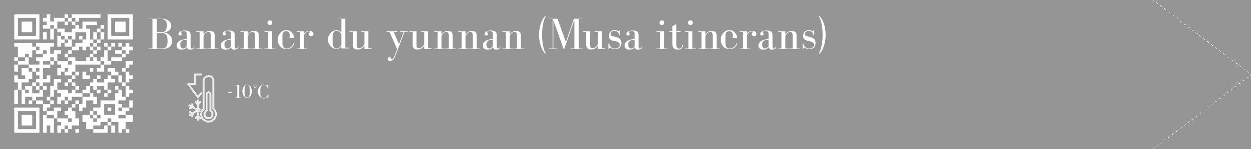 Étiquette de : Musa itinerans - format c - style blanche16_simple_simplebod avec qrcode et comestibilité