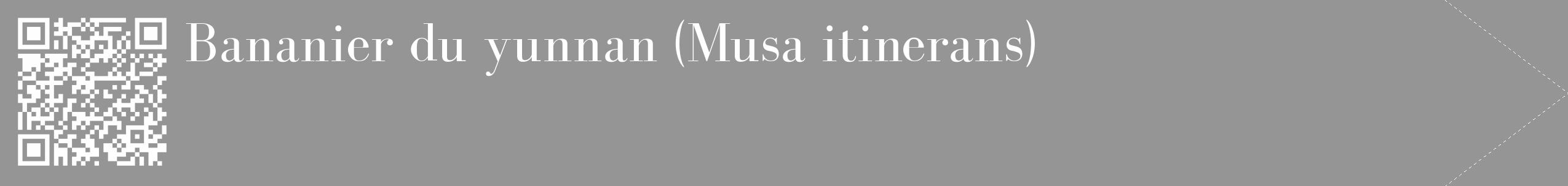 Étiquette de : Musa itinerans - format c - style blanche16_simple_simplebod avec qrcode et comestibilité