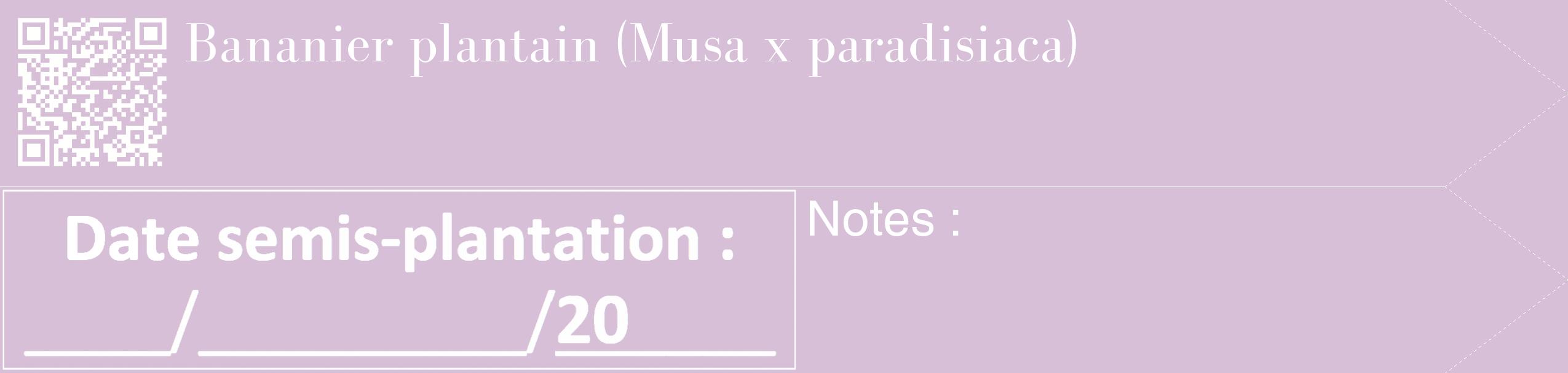 Étiquette de : Musa x paradisiaca - format c - style blanche54_simple_simplebod avec qrcode et comestibilité