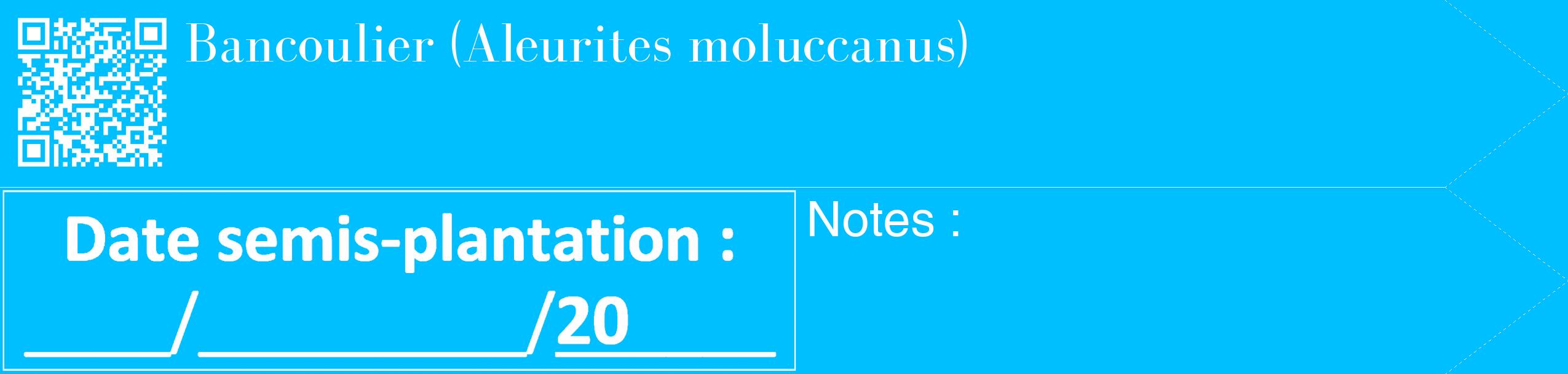 Étiquette de : Aleurites moluccanus - format c - style blanche2_simple_simplebod avec qrcode et comestibilité