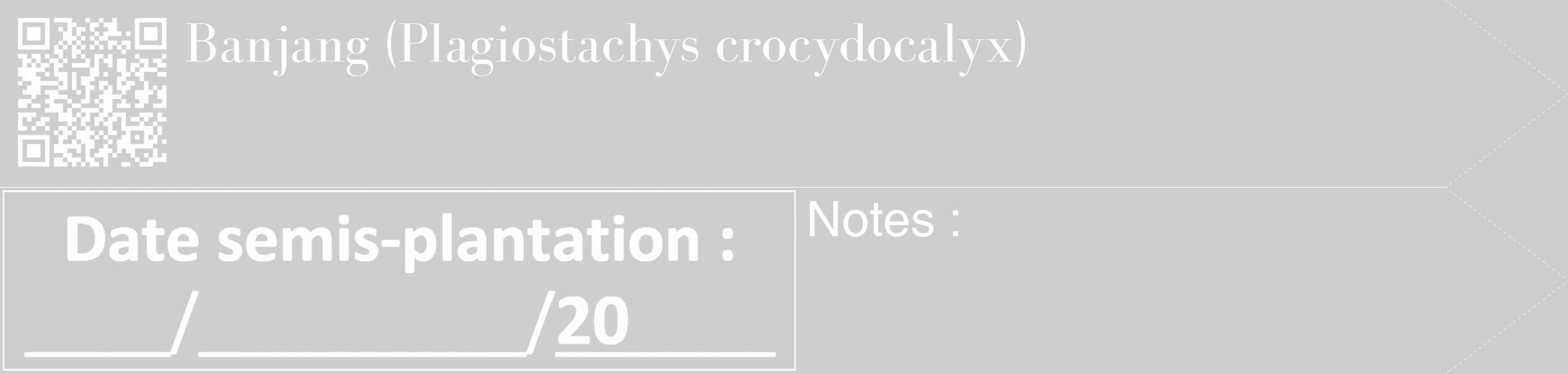 Étiquette de : Plagiostachys crocydocalyx - format c - style blanche17_simple_simplebod avec qrcode et comestibilité