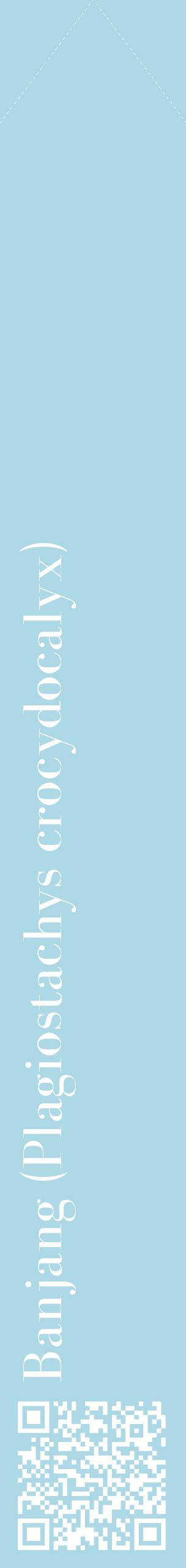 Étiquette de : Plagiostachys crocydocalyx - format c - style blanche0_simplebod avec qrcode et comestibilité