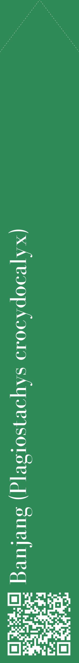 Étiquette de : Plagiostachys crocydocalyx - format c - style blanche11_simplebod avec qrcode et comestibilité