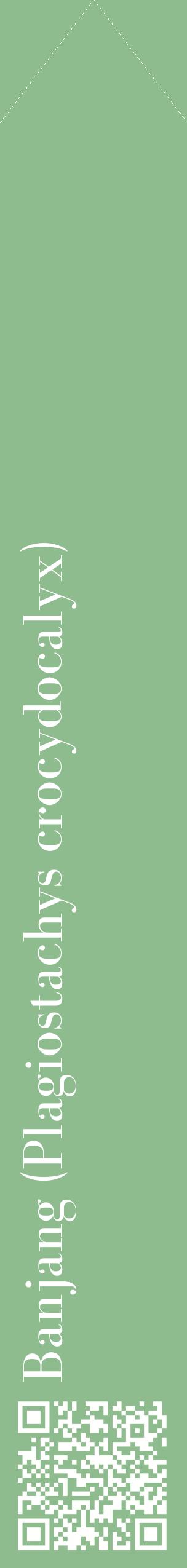 Étiquette de : Plagiostachys crocydocalyx - format c - style blanche13_simplebod avec qrcode et comestibilité