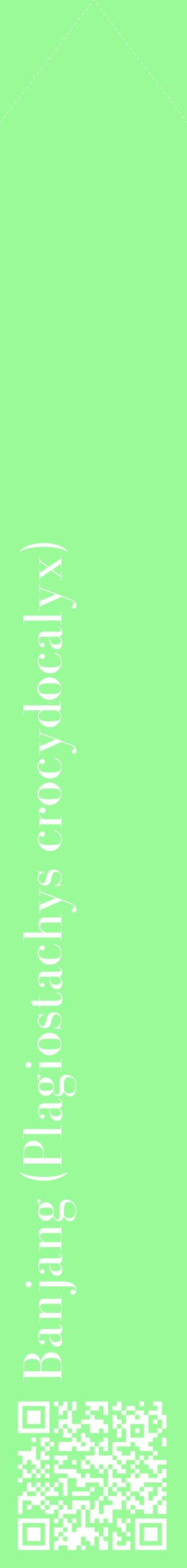 Étiquette de : Plagiostachys crocydocalyx - format c - style blanche14_simplebod avec qrcode et comestibilité