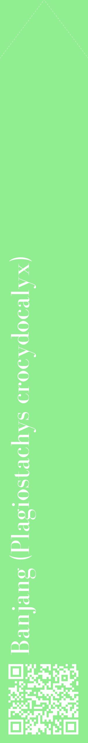 Étiquette de : Plagiostachys crocydocalyx - format c - style blanche15_simplebod avec qrcode et comestibilité