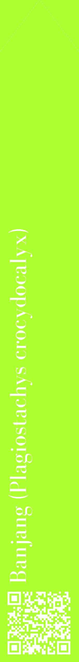 Étiquette de : Plagiostachys crocydocalyx - format c - style blanche17_simplebod avec qrcode et comestibilité