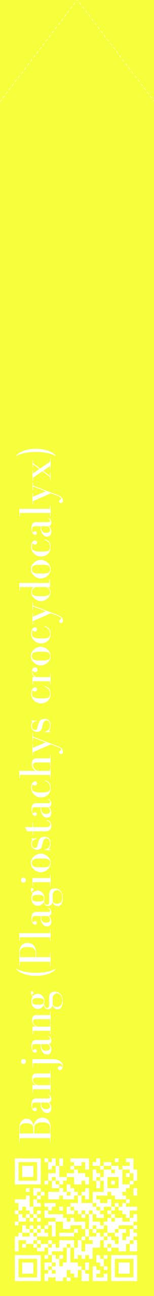 Étiquette de : Plagiostachys crocydocalyx - format c - style blanche18_simplebod avec qrcode et comestibilité