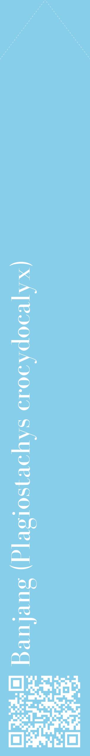 Étiquette de : Plagiostachys crocydocalyx - format c - style blanche1_simplebod avec qrcode et comestibilité