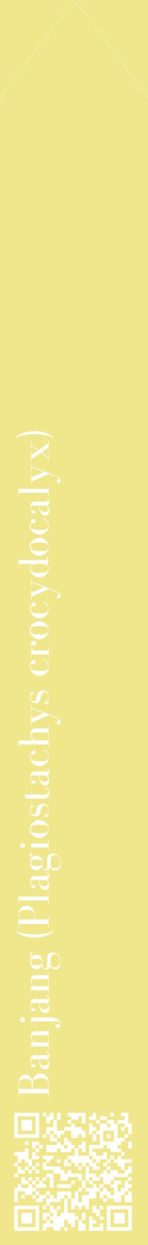 Étiquette de : Plagiostachys crocydocalyx - format c - style blanche20_simplebod avec qrcode et comestibilité