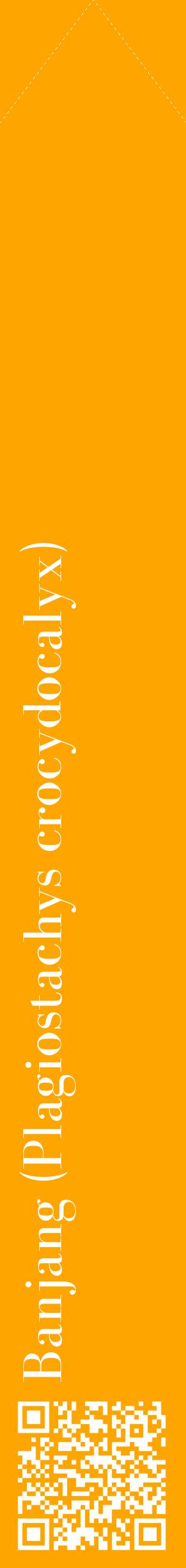 Étiquette de : Plagiostachys crocydocalyx - format c - style blanche22_simplebod avec qrcode et comestibilité