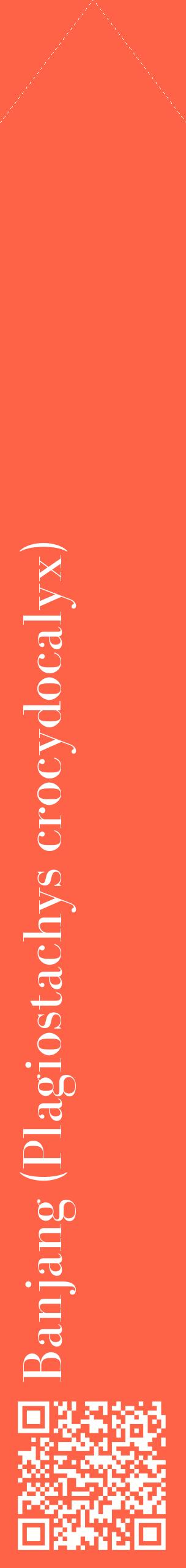 Étiquette de : Plagiostachys crocydocalyx - format c - style blanche25_simplebod avec qrcode et comestibilité