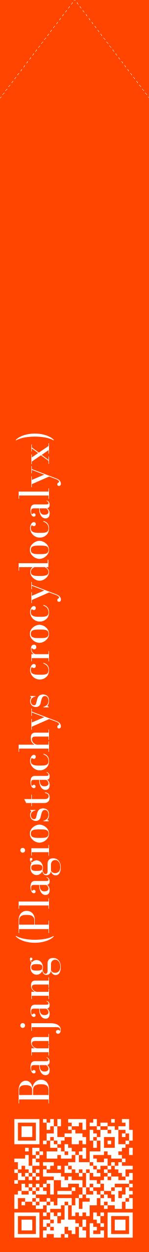 Étiquette de : Plagiostachys crocydocalyx - format c - style blanche26_simplebod avec qrcode et comestibilité