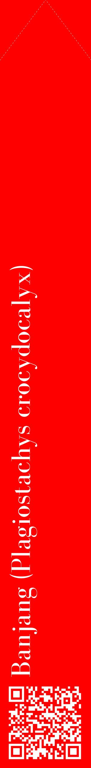 Étiquette de : Plagiostachys crocydocalyx - format c - style blanche27_simplebod avec qrcode et comestibilité