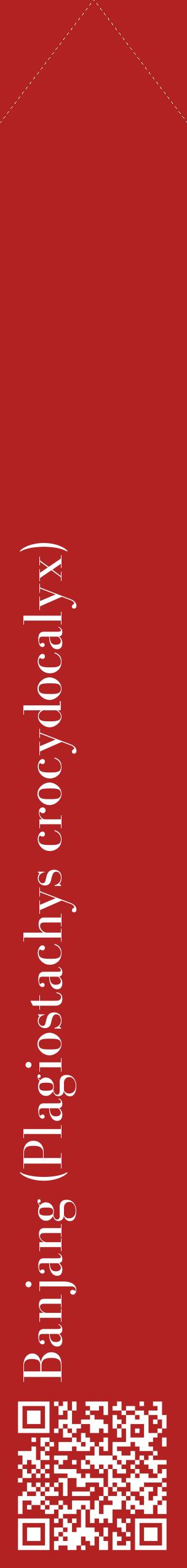 Étiquette de : Plagiostachys crocydocalyx - format c - style blanche28_simplebod avec qrcode et comestibilité
