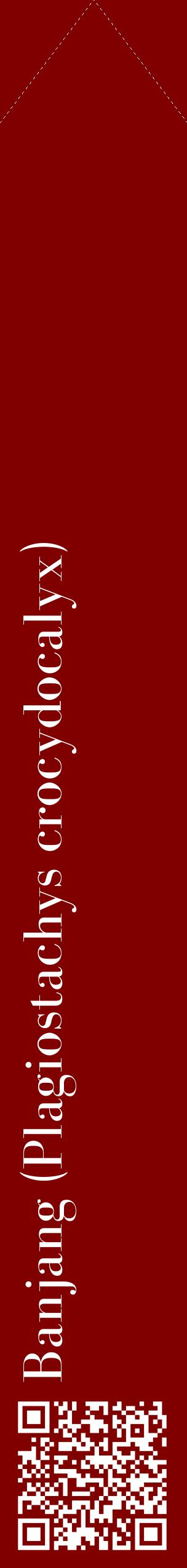 Étiquette de : Plagiostachys crocydocalyx - format c - style blanche29_simplebod avec qrcode et comestibilité