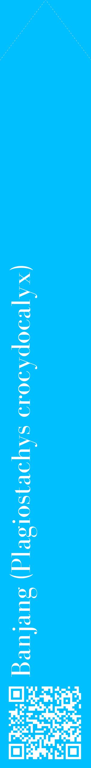 Étiquette de : Plagiostachys crocydocalyx - format c - style blanche2_simplebod avec qrcode et comestibilité