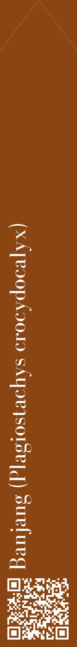 Étiquette de : Plagiostachys crocydocalyx - format c - style blanche30_simplebod avec qrcode et comestibilité