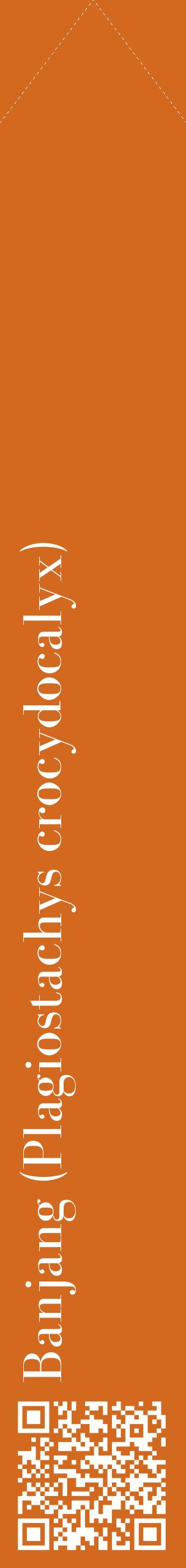Étiquette de : Plagiostachys crocydocalyx - format c - style blanche31_simplebod avec qrcode et comestibilité