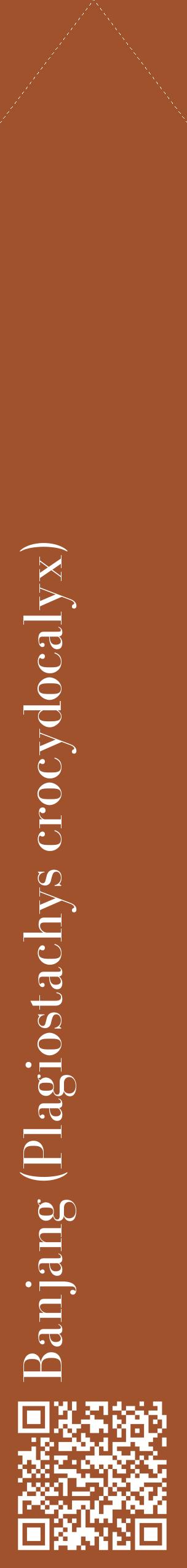 Étiquette de : Plagiostachys crocydocalyx - format c - style blanche32_simplebod avec qrcode et comestibilité