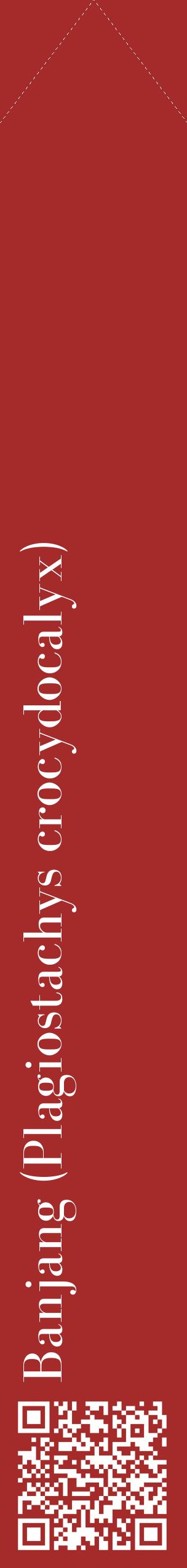 Étiquette de : Plagiostachys crocydocalyx - format c - style blanche33_simplebod avec qrcode et comestibilité