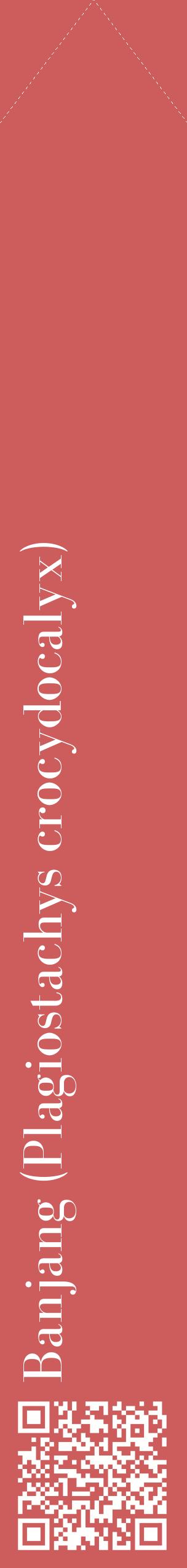 Étiquette de : Plagiostachys crocydocalyx - format c - style blanche35_simplebod avec qrcode et comestibilité