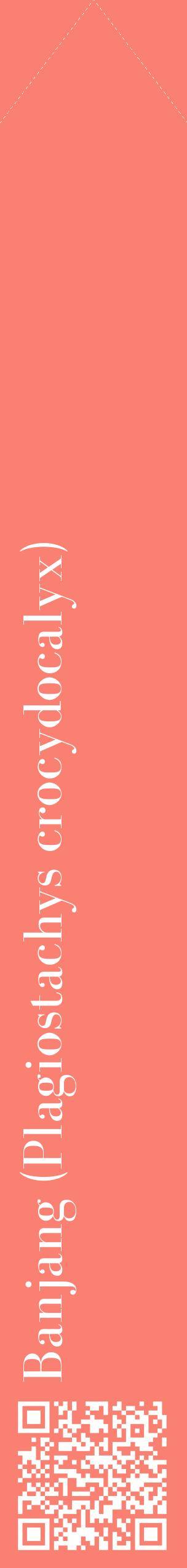 Étiquette de : Plagiostachys crocydocalyx - format c - style blanche38_simplebod avec qrcode et comestibilité