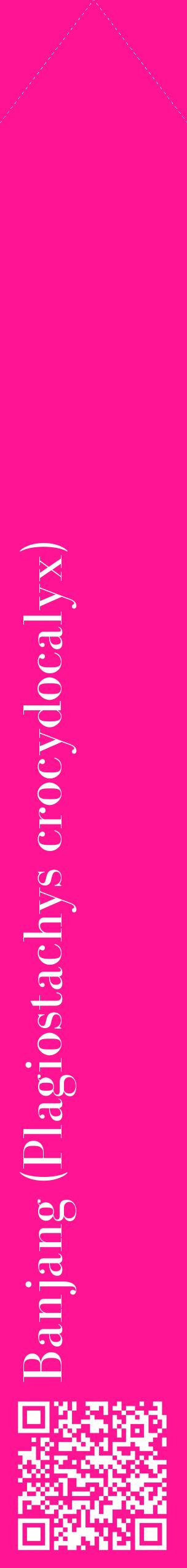 Étiquette de : Plagiostachys crocydocalyx - format c - style blanche43_simplebod avec qrcode et comestibilité