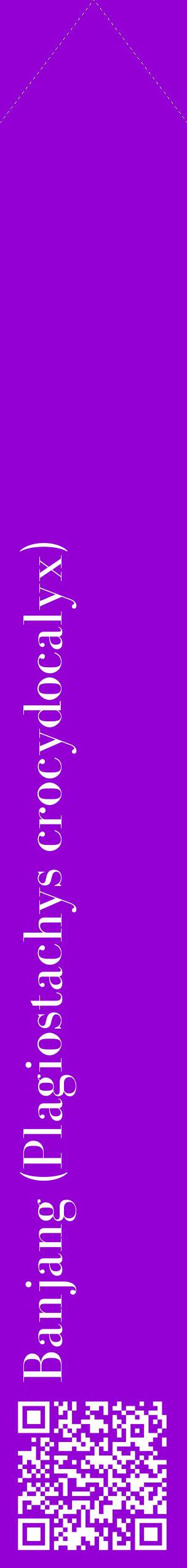 Étiquette de : Plagiostachys crocydocalyx - format c - style blanche48_simplebod avec qrcode et comestibilité