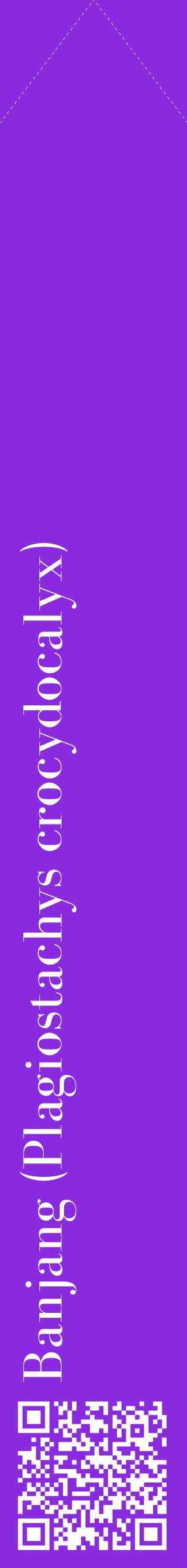 Étiquette de : Plagiostachys crocydocalyx - format c - style blanche49_simplebod avec qrcode et comestibilité