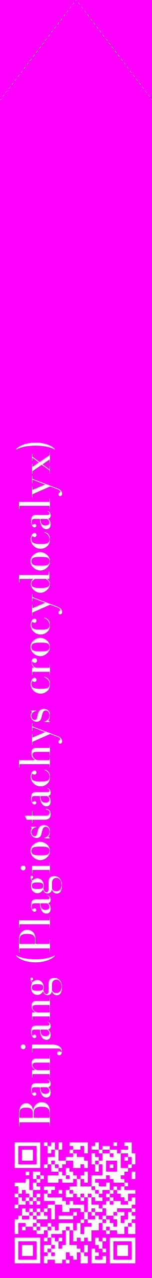 Étiquette de : Plagiostachys crocydocalyx - format c - style blanche51_simplebod avec qrcode et comestibilité