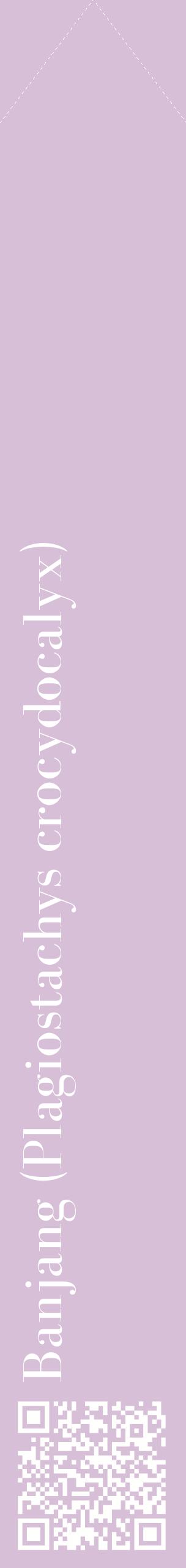 Étiquette de : Plagiostachys crocydocalyx - format c - style blanche54_simplebod avec qrcode et comestibilité