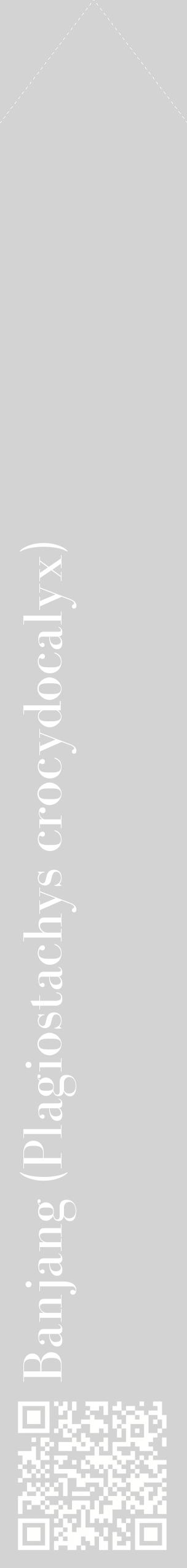 Étiquette de : Plagiostachys crocydocalyx - format c - style blanche56_simplebod avec qrcode et comestibilité