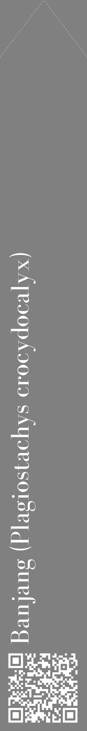 Étiquette de : Plagiostachys crocydocalyx - format c - style blanche57_simplebod avec qrcode et comestibilité