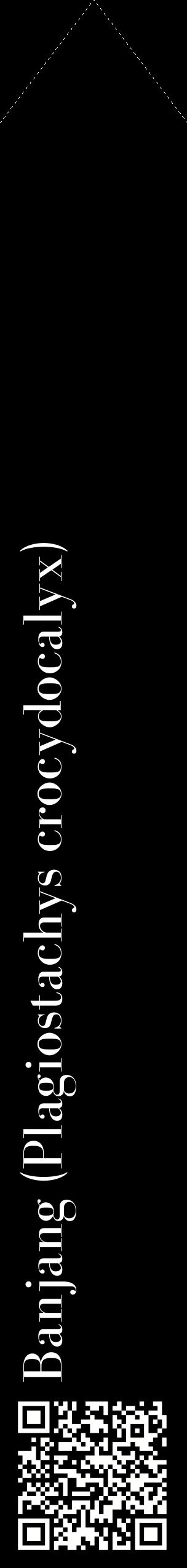 Étiquette de : Plagiostachys crocydocalyx - format c - style blanche59_simplebod avec qrcode et comestibilité