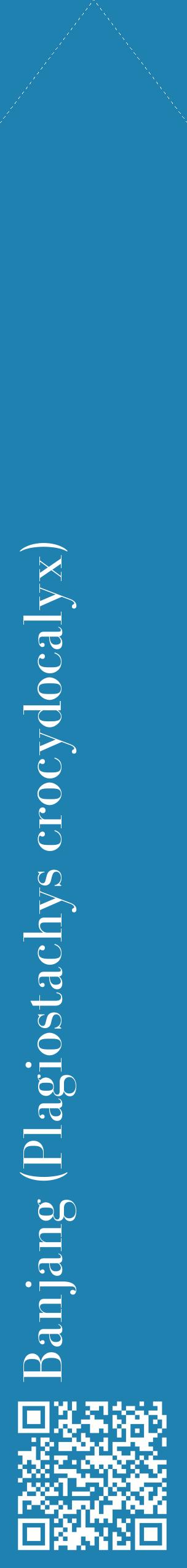 Étiquette de : Plagiostachys crocydocalyx - format c - style blanche6_simplebod avec qrcode et comestibilité