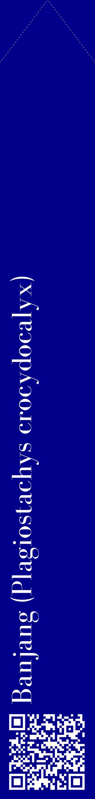 Étiquette de : Plagiostachys crocydocalyx - format c - style blanche7_simplebod avec qrcode et comestibilité
